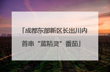 成都东部新区长出川内首串“蓝精灵”番茄