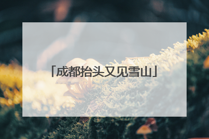 成都抬头又见雪山