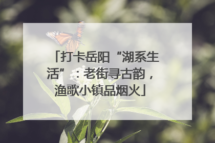 打卡岳阳“湖系生活”：老街寻古韵，渔歌小镇品烟火