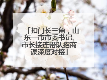 扣门长三角，山东一市市委书记、市长接连带队招商谋深度对接
