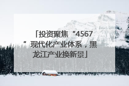 投资聚焦“4567”现代化产业体系，黑龙江产业换新景