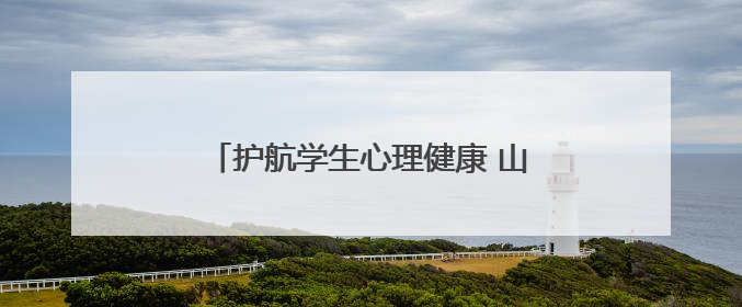 护航学生心理健康 山东省精神卫生中心专家团队走进堤口路小学