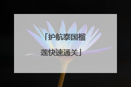 护航泰国榴莲快速通关