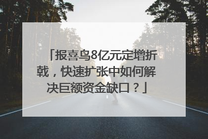 报喜鸟8亿元定增折戟，快速扩张中如何解决巨额资金缺口？