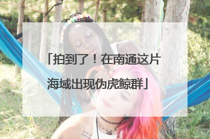 拍到了！在南通这片海域出现伪虎鲸群