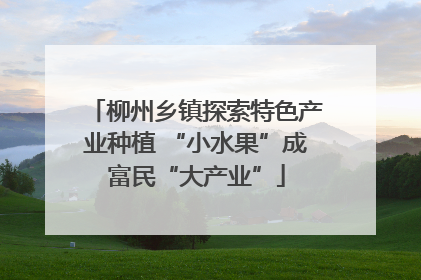 柳州乡镇探索特色产业种植 “小水果”成富民“大产业”