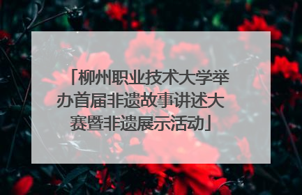 柳州职业技术大学举办首届非遗故事讲述大赛暨非遗展示活动