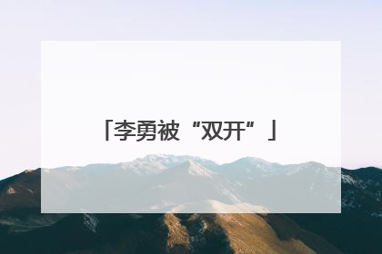 李勇被“双开”