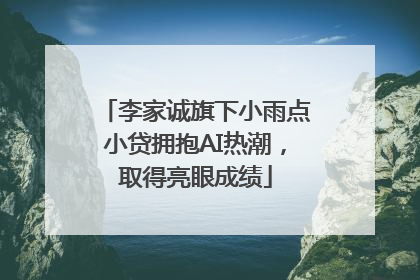 李家诚旗下小雨点小贷拥抱AI热潮，取得亮眼成绩
