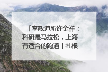 李政道所许金祥：科研是马拉松，上海有适合的跑道｜扎根上海，从0到1