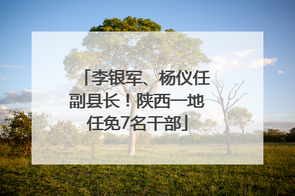 李银军、杨仪任副县长！陕西一地任免7名干部