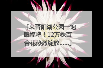 来晋阳湖公园一饱眼福吧！12万株百合花热烈绽放……