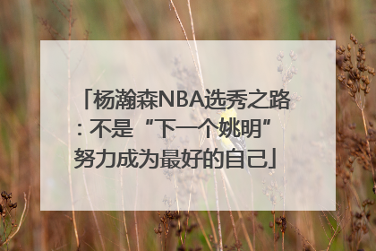 杨瀚森NBA选秀之路：不是“下一个姚明” 努力成为最好的自己