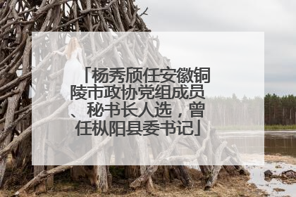 杨秀颀任安徽铜陵市政协党组成员、秘书长人选，曾任枞阳县委书记
