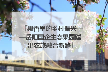 果香里的乡村振兴——岳阳国企生态果园蹚出农旅融合新路