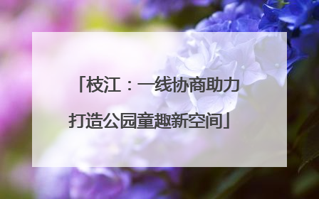 枝江：一线协商助力打造公园童趣新空间