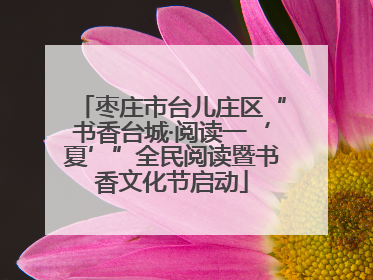枣庄市台儿庄区“书香台城·阅读一‘夏’”全民阅读暨书香文化节启动