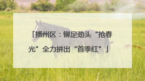 播州区：铆足劲头“抢春光”全力拼出“首季红”