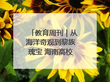 教育周刊｜从海洋奇观到黎族瑰宝 海南高校博物馆很有料