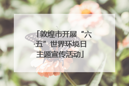 敦煌市开展“六·五”世界环境日主题宣传活动