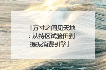 方寸之间见天地：从特区试验田到提振消费引擎