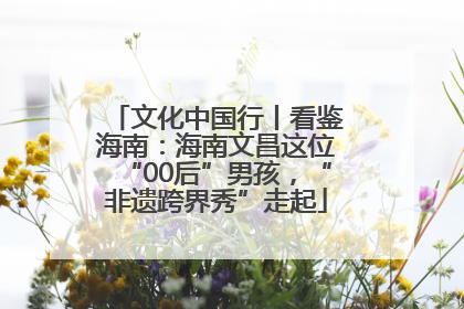 文化中国行丨看鉴海南：海南文昌这位“00后”男孩，“非遗跨界秀”走起