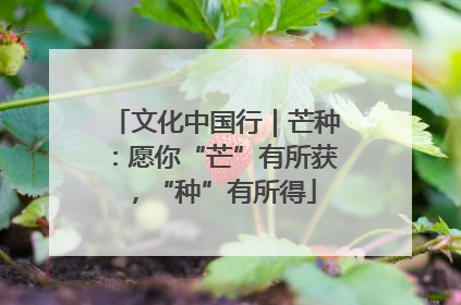 文化中国行｜芒种：愿你“芒”有所获，“种”有所得