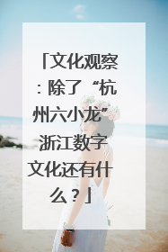 文化观察：除了“杭州六小龙” 浙江数字文化还有什么？