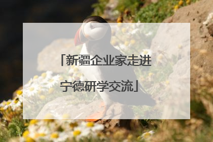 新疆企业家走进宁德研学交流