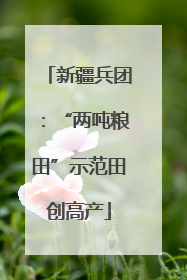 新疆兵团：“两吨粮田”示范田创高产