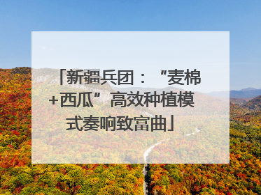 新疆兵团：“麦棉+西瓜”高效种植模式奏响致富曲