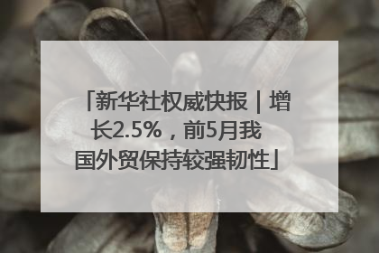 新华社权威快报｜增长2.5%，前5月我国外贸保持较强韧性