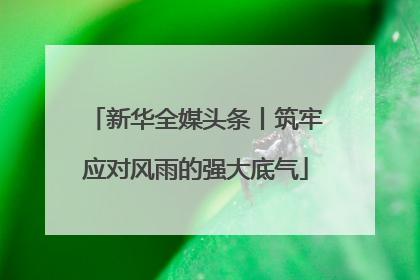 新华全媒头条丨筑牢应对风雨的强大底气