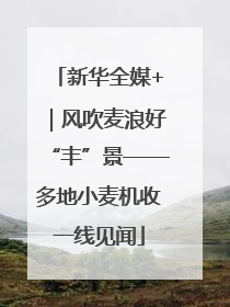 新华全媒+｜风吹麦浪好“丰”景——多地小麦机收一线见闻