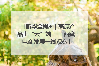 新华全媒+｜高原产品上“云”端——西藏电商发展一线观察