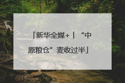新华全媒+丨“中原粮仓”麦收过半
