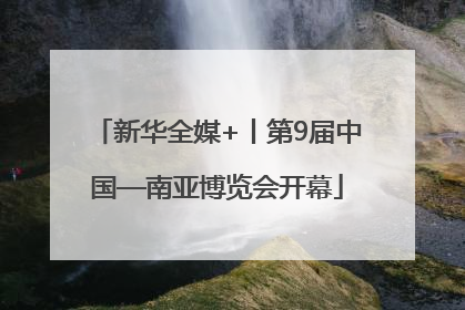 新华全媒+丨第9届中国—南亚博览会开幕