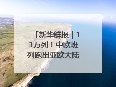 新华鲜报｜11万列！中欧班列跑出亚欧大陆“新时速”