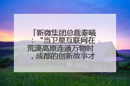 新微集团总裁秦曦：“当卫星互联网在荒漠高原连通万物时，成都的创新故事才真正开始”