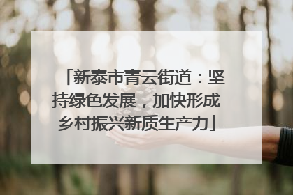 新泰市青云街道：坚持绿色发展，加快形成乡村振兴新质生产力