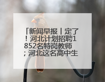 新闻早报丨定了！河北计划招聘1852名特岗教师；河北这名高中生，悄悄做了件超酷的事>>