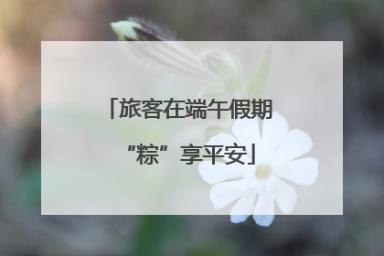 旅客在端午假期“粽”享平安