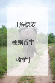 旌德麦穗飘香丰收忙
