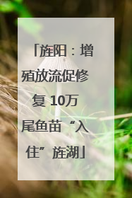 旌阳：增殖放流促修复 10万尾鱼苗“入住”旌湖