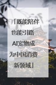 既能陪伴也能引路 AI宠物成为中国消费新领域