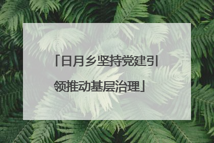 日月乡坚持党建引领推动基层治理