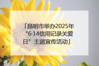 昆明市举办2025年“6·14信用记录关爱日”主题宣传活动