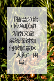 智慧分流+应急联动 湖南文旅系统探讨如何破解景区“人海”困局