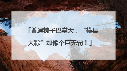 普通粽子巴掌大，“横县大粽”却像个巨无霸！