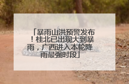 暴雨山洪预警发布！桂北已出现大到暴雨，广西进入本轮降雨最强时段